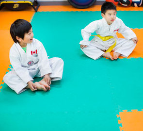 Programs - Chen Taekwondo Club - Taekwondo Vancouver Lessons